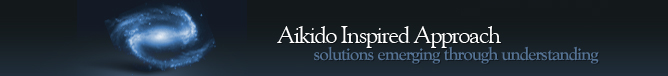 Aikido Inspired Approach - solutions emerging through understanding